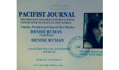 DENISE RUMAN - FOUNDER AND PRESIDENT OF "PACIFIST JOURNAL - REFLECTIONS AND THOUGHTS OF THIS GREAT MENTOR OF PEACE IN HUMANITY!!!!